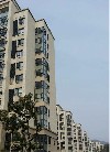 恒尊-春天里 恒尊-春天里